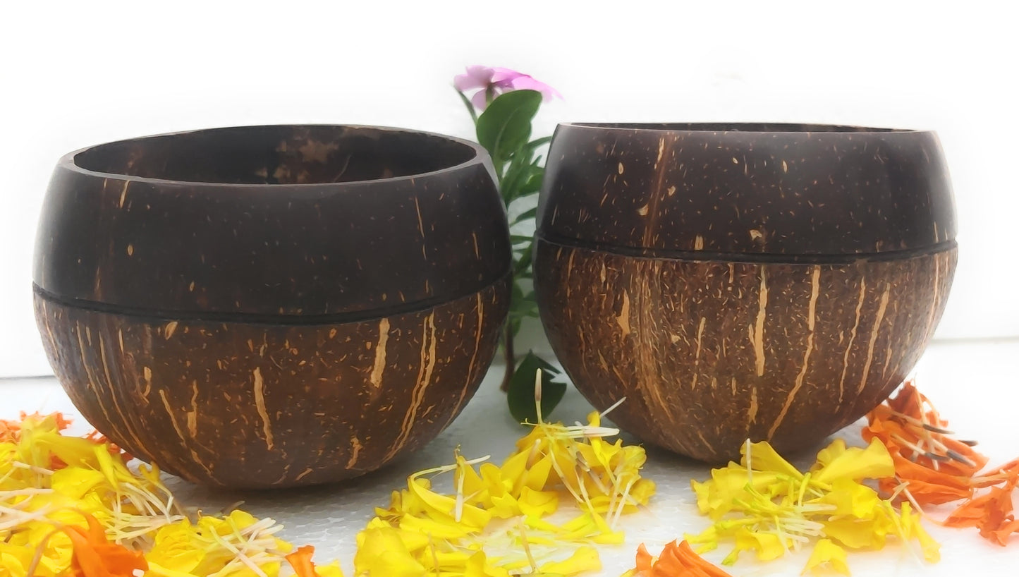 Beetroots Eco-friendly Coconut shell Bowls , Dining ware, Salad ,Smoothie bowls, Natural and Sustainable kitchen ware(pack of 2)