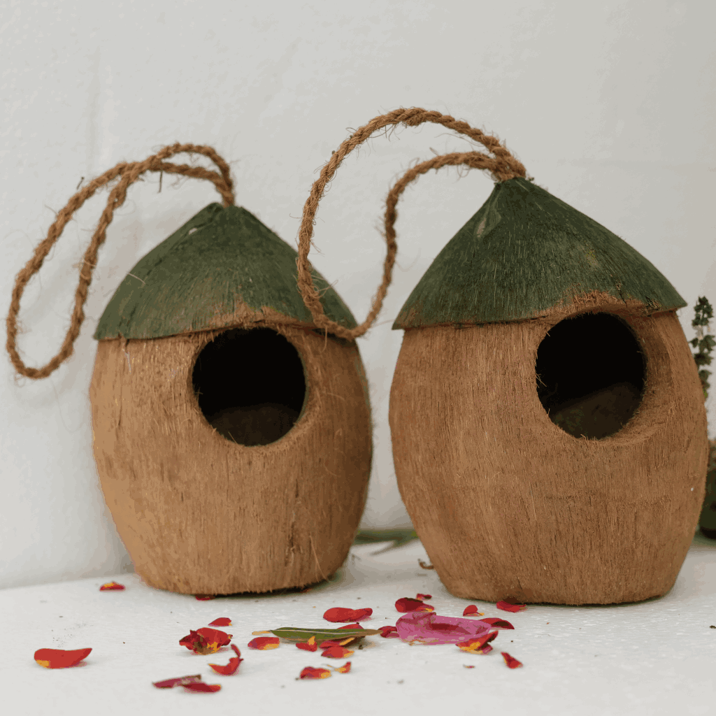 Coconut Bird House