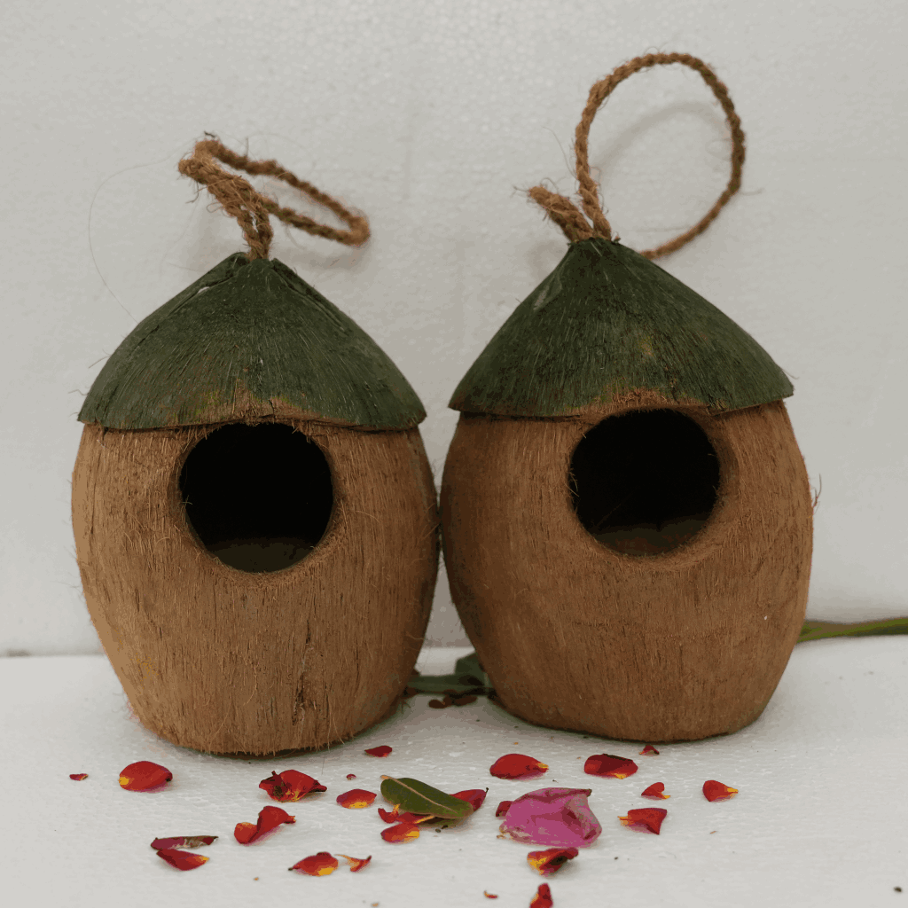 Coconut Bird House