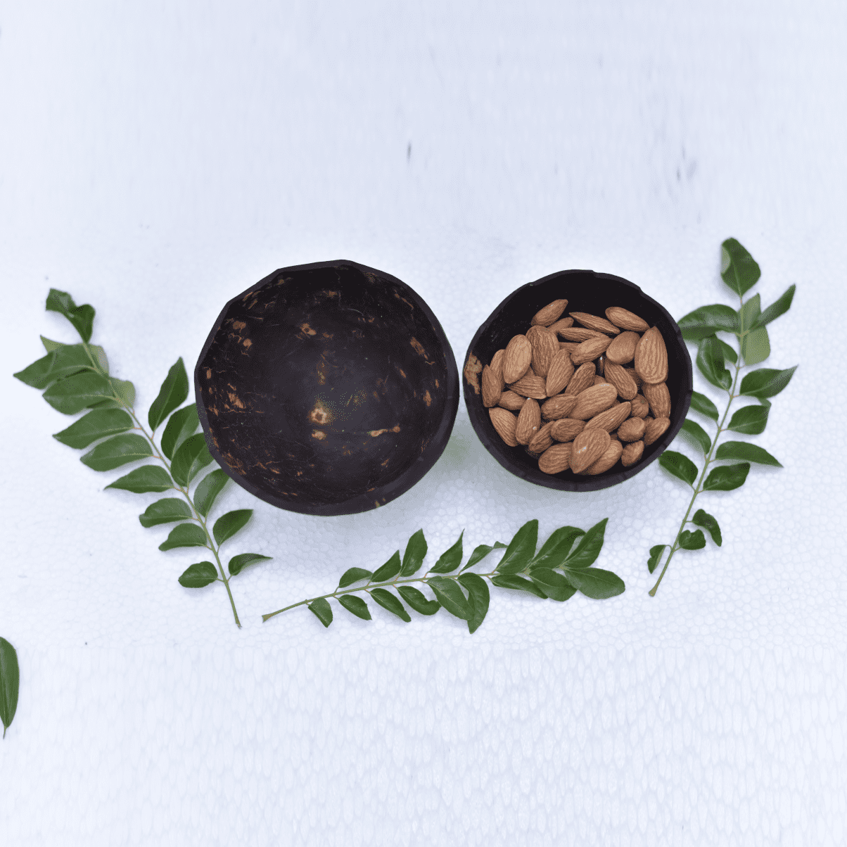 Coconut Shell Eco Friendly Decorative Salad Bowls With Stand (Pack Of 2)