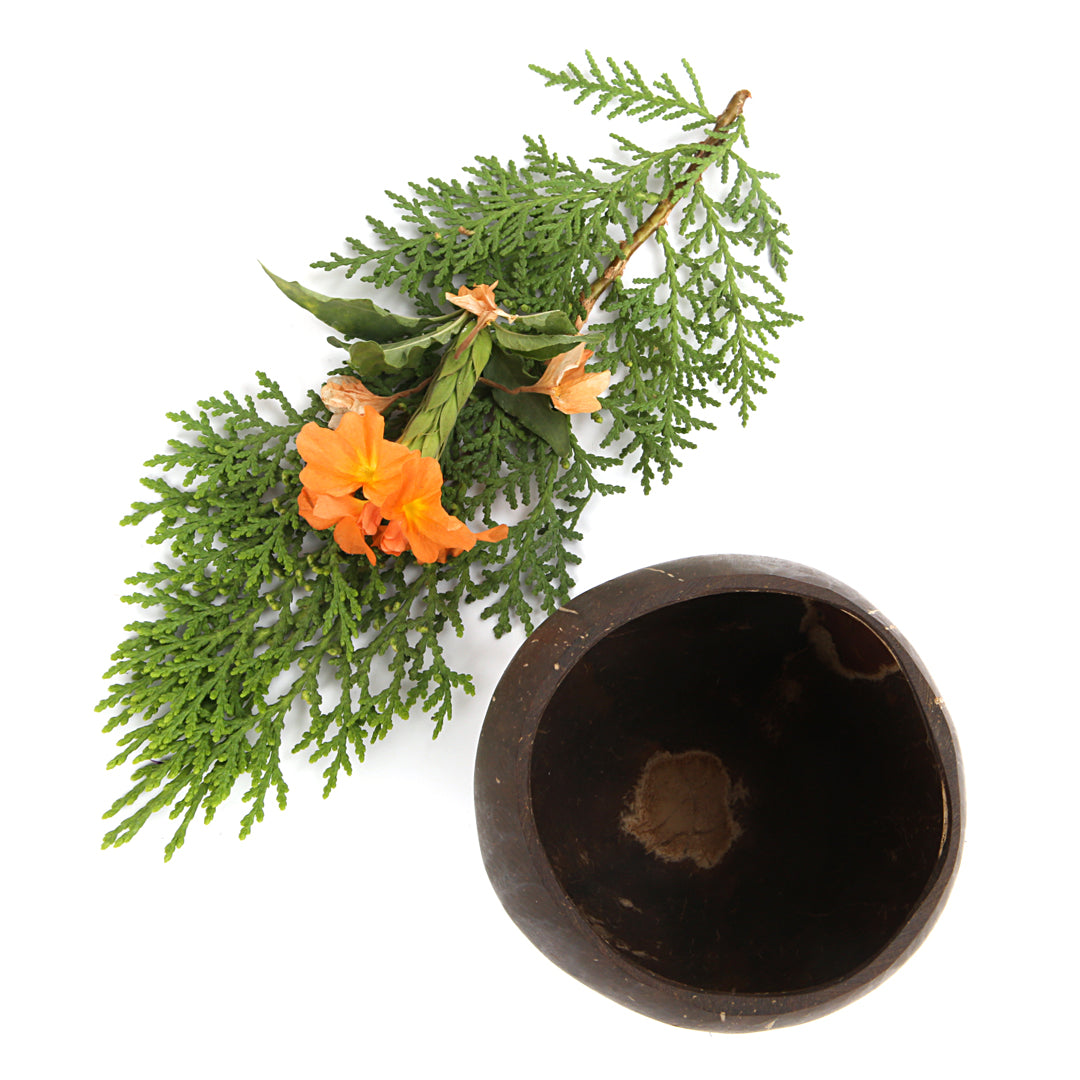 Beetroots Eco-Living coconut shell wine glass ,Non Toxic Sustainable easy to Use glass