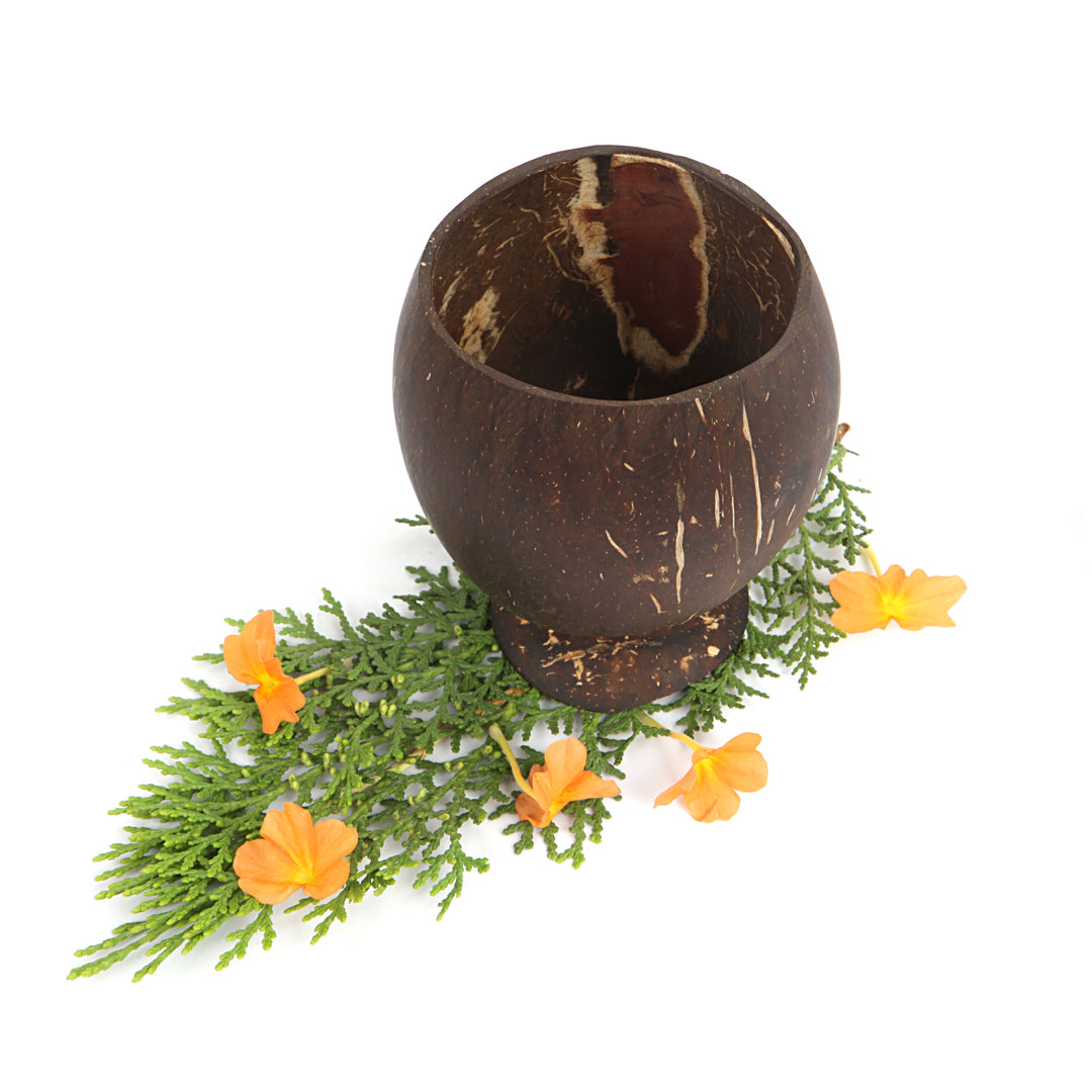 Beetroots Eco-Living coconut shell wine glass ,Non Toxic Sustainable easy to Use glass