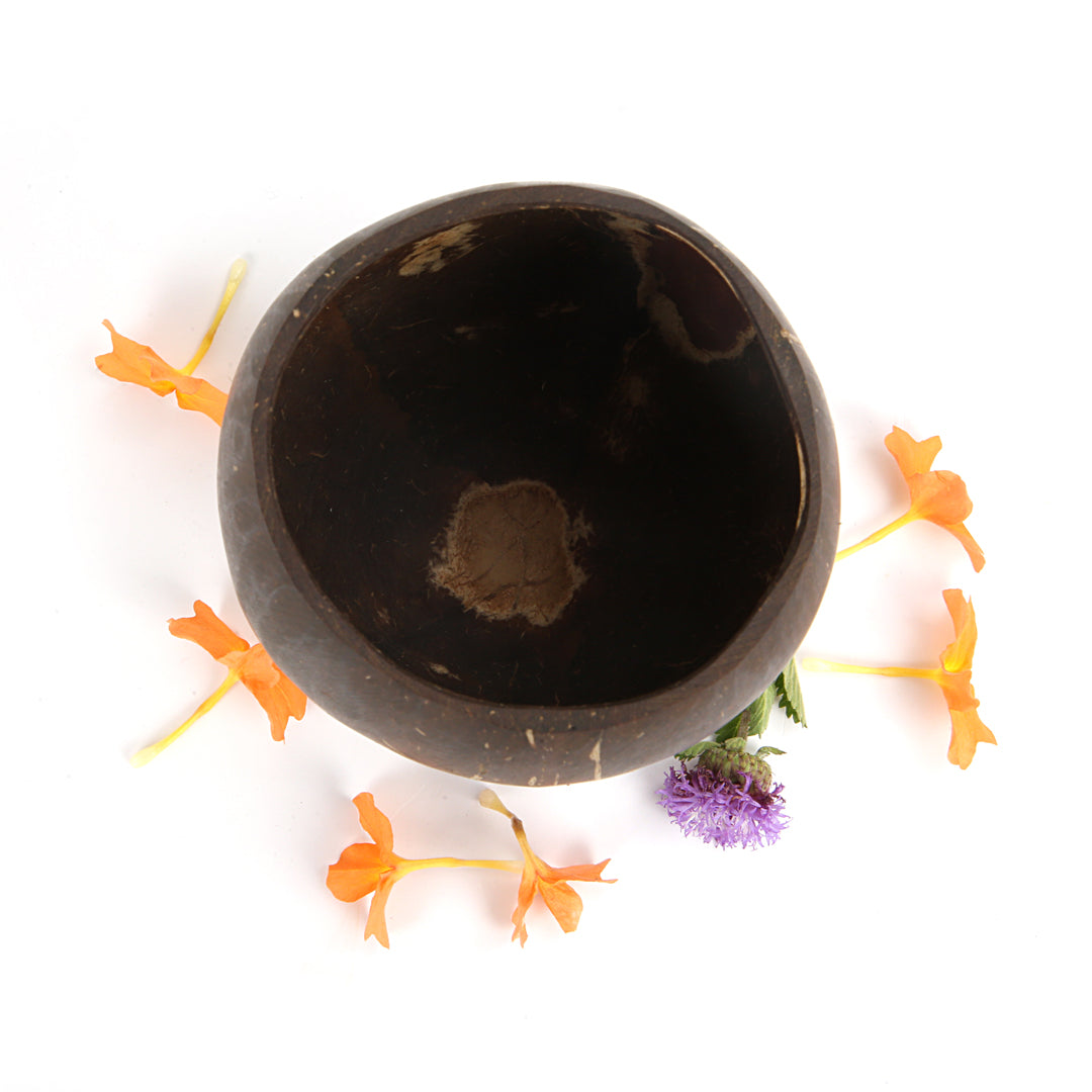 Beetroots Eco-Living coconut shell wine glass ,Non Toxic Sustainable easy to Use glass
