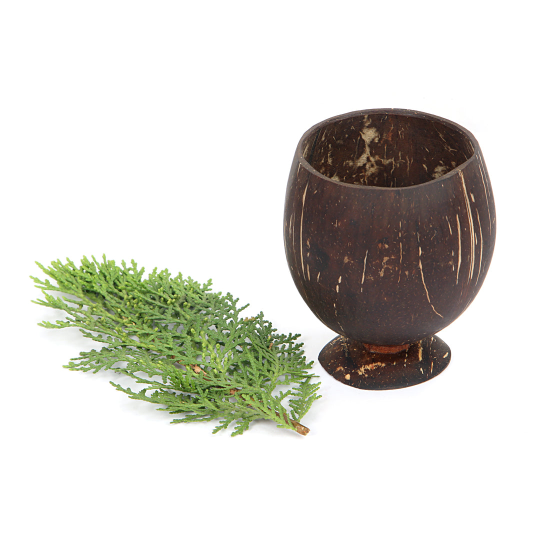 Beetroots Eco-Living coconut shell wine glass ,Non Toxic Sustainable easy to Use glass