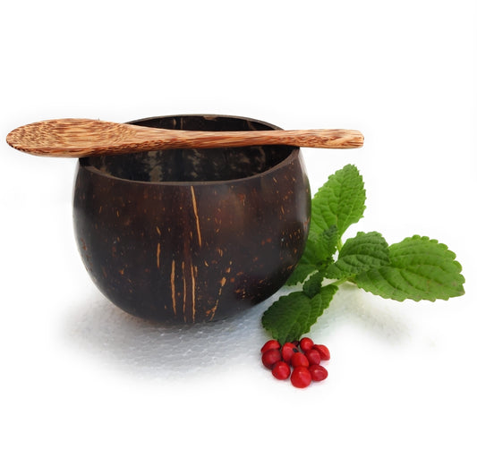 Beautiful Eco-friendly coconut shell bowl with wooden spoon, Natural sustainable Non- toxic 450ml gift item