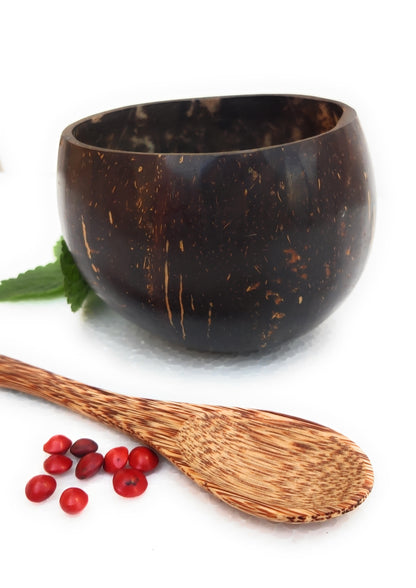 Beautiful Eco-friendly coconut shell bowl with wooden spoon, Natural sustainable Non- toxic 450ml gift item