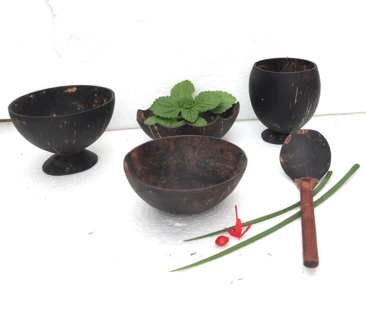 Beetroots Eco-friendly Coconut shell bowls with spoon for kids, kitchen play set, Non-Toxic children play kit