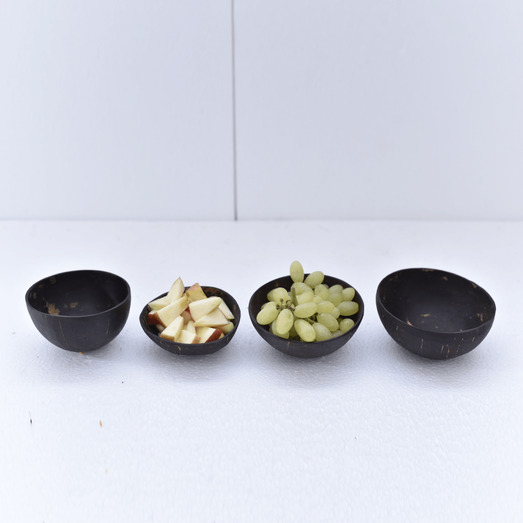 Coconut Shell Eco Friendly Bowls (Pack Of 4)