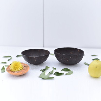 Coconut Shell Eco Friendly Bowls (Pack Of 2)