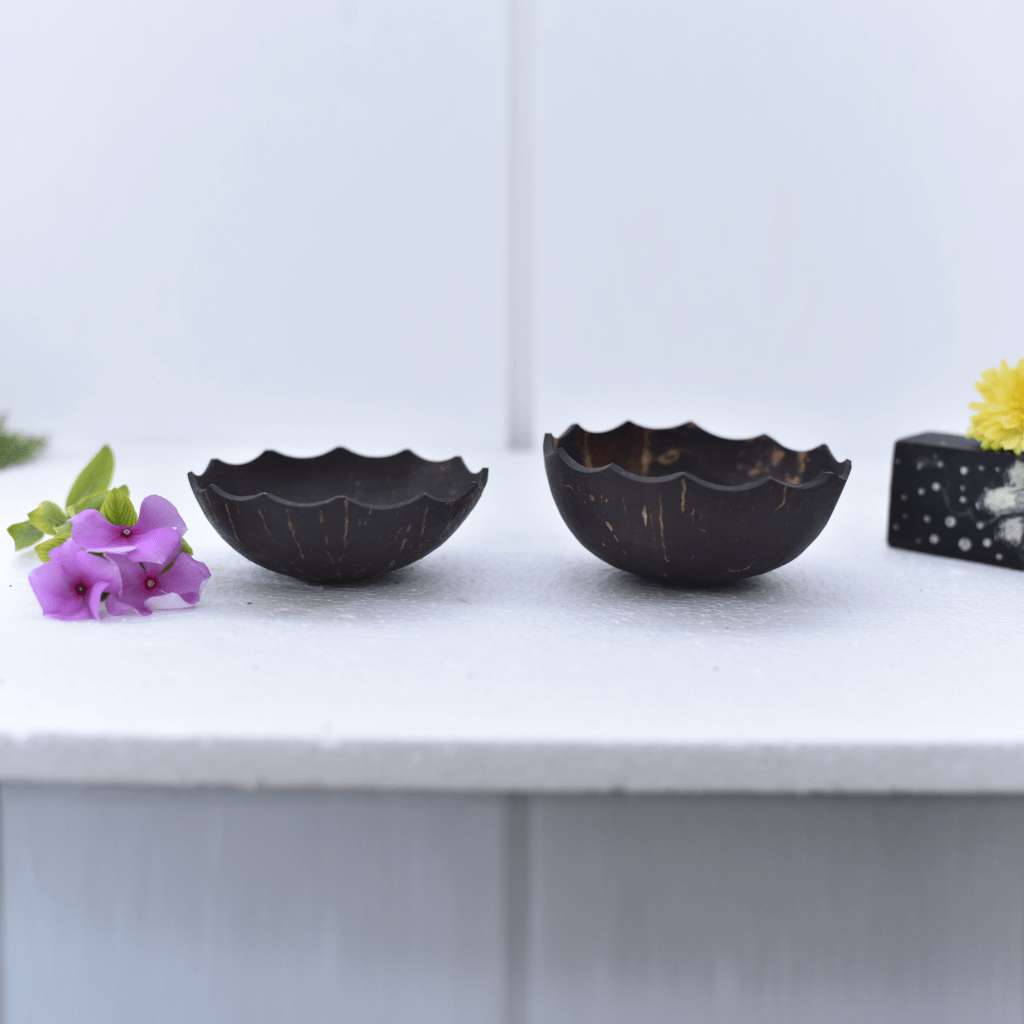 Coconut Shell Eco friendly Decorative Salad bowls (Pack Of 2)