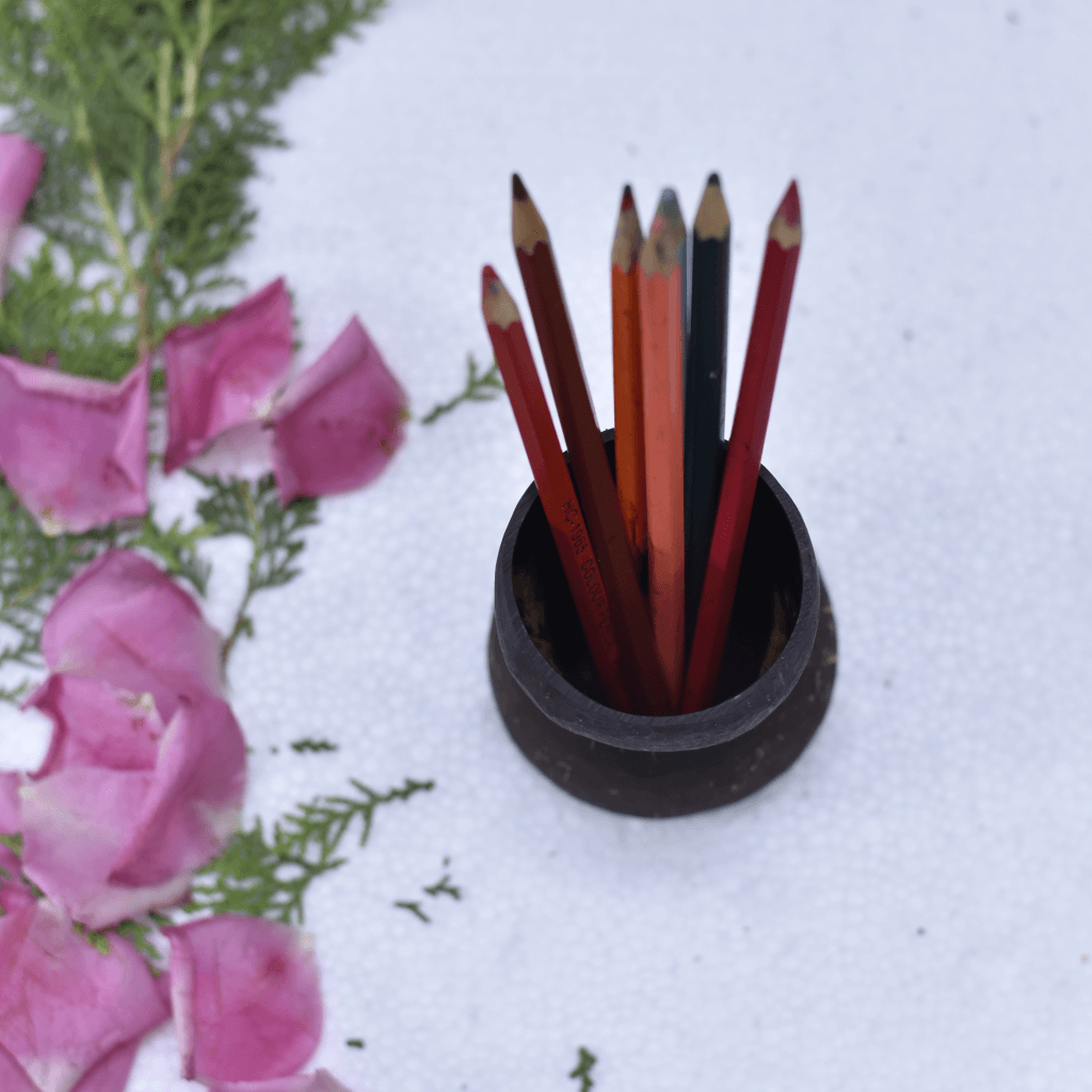 Coconut Shell Eco Friendly Pen Stand