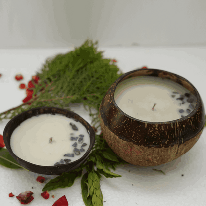 Naturally Scented Soy Wax Coconut shell candles Combo ( Pack of 2..1 big,1 small)