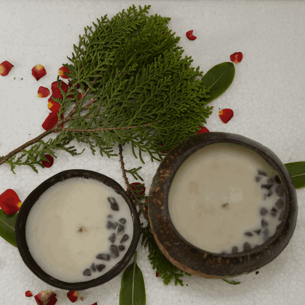 Naturally Scented Soy Wax Coconut shell candles Combo ( Pack of 2..1 big,1 small)