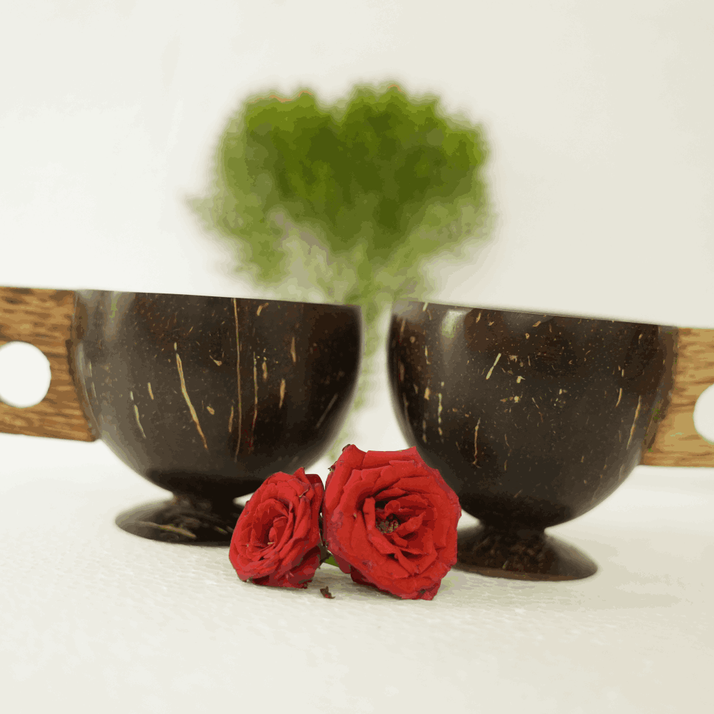Shell Tea Cup Eco-friendly Coconut shell Tea - cups – beetroots